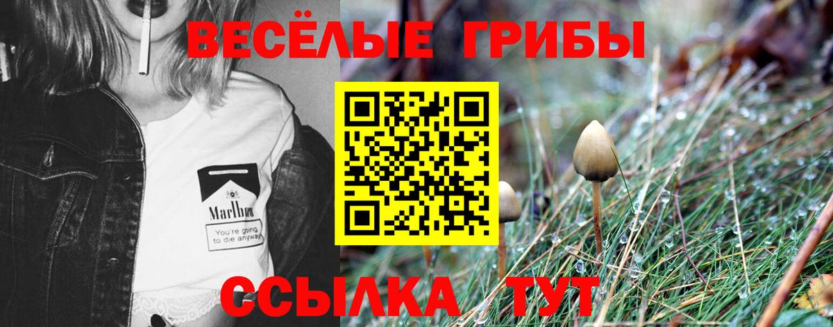 Галлюциногенные грибы прущие грибы Урус-Мартан
